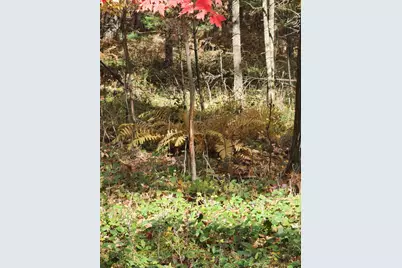 N1057  Borglin Ave, Levis, WI 54456 - Photo 49
