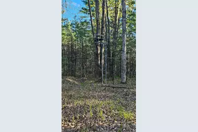N1057  Borglin Ave, Levis, WI 54456 - Photo 41