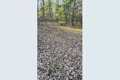N1057  Borglin Ave, Levis, WI 54456 - Photo 29