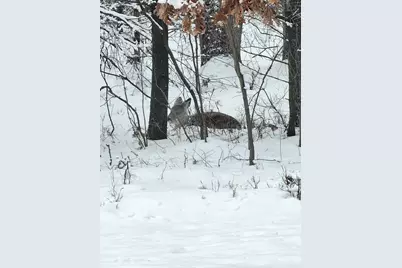 N1057  Borglin Ave, Levis, WI 54456 - Photo 45