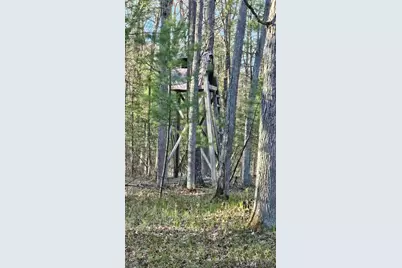 N1057  Borglin Ave, Levis, WI 54456 - Photo 25