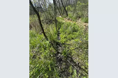 Lot 5  11th St, Galesville, WI 54630 - Photo 5