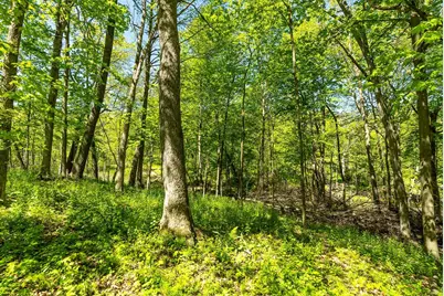 6427  Sand Hill Rd, Pulaski, WI 53506 - Photo 99