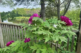 1008 W Eula Ct, Glendale, WI 53209 - Photo 21