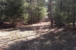 N18352 Reed Rd, Pembine, WI 54156 - Photo 1