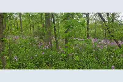 Lt7  Shore Ln, Sugar Creek, WI 53121 - Photo 3