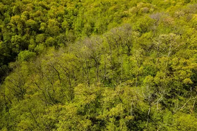 15999  Biba Rd, , WI 53573 - Photo 79