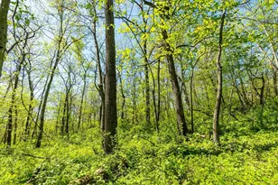 15999 Biba Rd, , WI 53573 - Photo 89