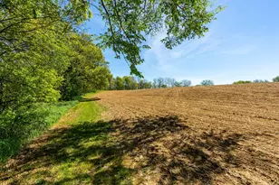 15999 Biba Rd, , WI 53573 - Photo 101