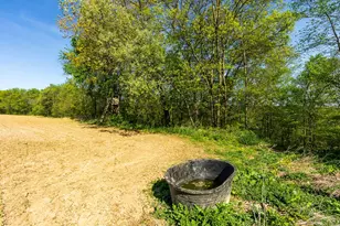 15999 Biba Rd, , WI 53573 - Photo 59