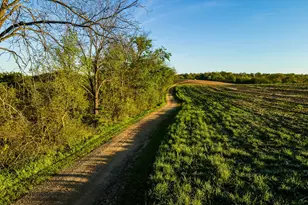 15999 Biba Rd, , WI 53573 - Photo 11