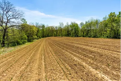 15999  Biba Rd, , WI 53573 - Photo 81