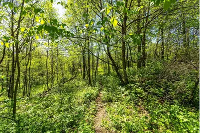 15999  Biba Rd, , WI 53573 - Photo 87