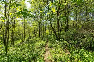 15999 Biba Rd, , WI 53573 - Photo 87
