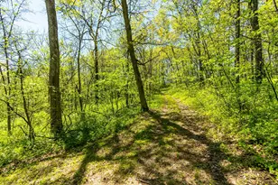 15999 Biba Rd, , WI 53573 - Photo 95