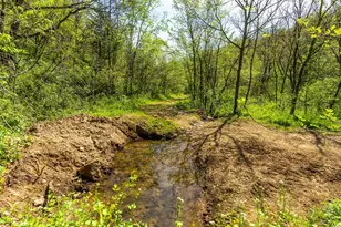 15999 Biba Rd, , WI 53573 - Photo 67