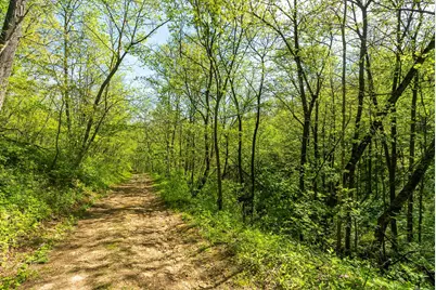 15999  Biba Rd, , WI 53573 - Photo 65