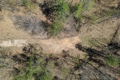 0  Jargon Ave #Lot 2, Wells, WI 54656 - Photo 3