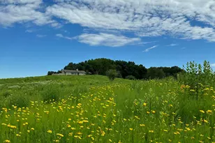 N4898 Arrowhead Trail, Hubbard, WI 53039 - Photo 29