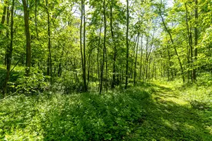 19382 Co Hwy NN, Willow, WI 53581 - Photo 41