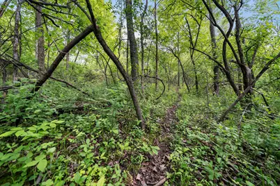 120 Ac  County Highway E -, Hartford, WI 53027 - Photo 3