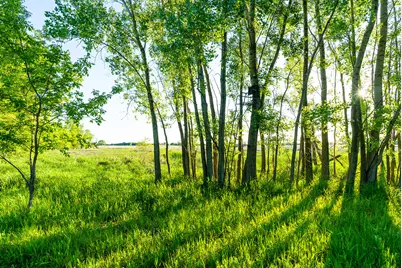 W9006  Forest Ave, Lamartine, WI 54932 - Photo 69