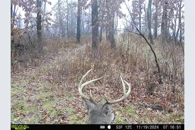 N7003  County Road W -, Onalaska, WI 54636 - Photo 5