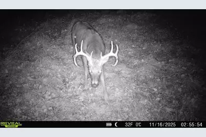 N7003  County Road W -, Onalaska, WI 54636 - Photo 21