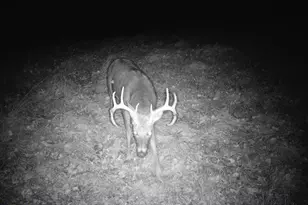 N7003 County Road W, Onalaska, WI 54636 - Photo 21