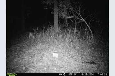 N7003  County Road W -, Onalaska, WI 54636 - Photo 65
