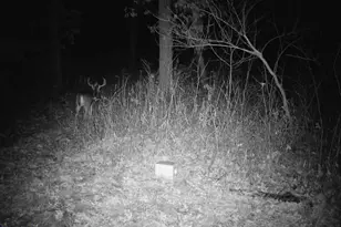 N7003 County Road W, Onalaska, WI 54636 - Photo 65
