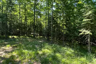 9307 Sylvan Shore Dr, Hazelhurst, WI 54531 - Photo 29