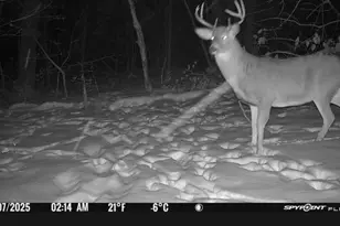 S656 Redemption Ln, Christiana, WI 54667 - Photo 13
