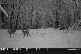 S656 Redemption Ln, Christiana, WI 54667 - Photo 11
