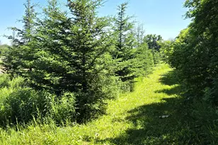 W985 Fur Farm Rd, New Holstein, WI 53061 - Photo 51