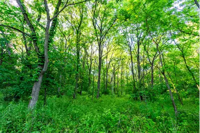 825  County Road F -, Moscow, WI 53544 - Photo 41