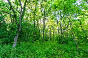 825 County Road F, Moscow, WI 53544 - Photo 41