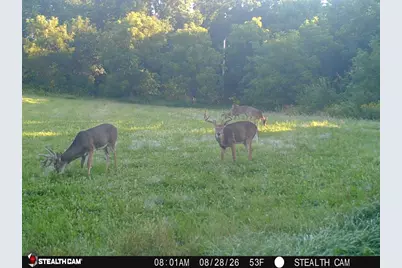 825  County Road F -, Moscow, WI 53544 - Photo 11