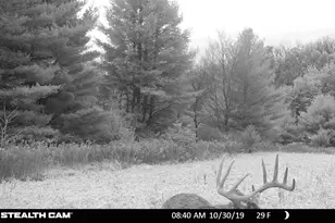 825 County Road F, Moscow, WI 53544 - Photo 57