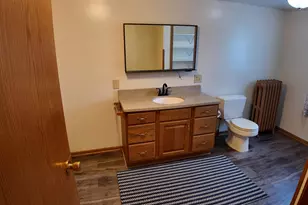 305 N Milwaukee St, Theresa, WI 53091 - Photo 47