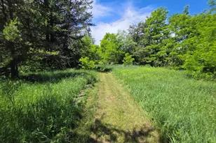 3060 15th Ave, Springville, WI 53965 - Photo 29