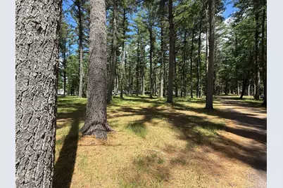 N9517  Thunderbird Ln, Adams, WI 54754 - Photo 43