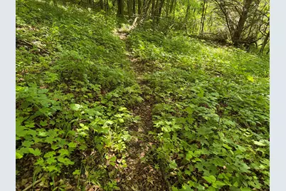 E12950  County Road D -, Stark, WI 54639 - Photo 11