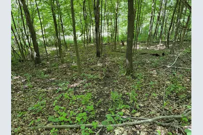 E12950  County Road D -, Stark, WI 54639 - Photo 33