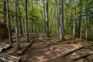 1246 Hutts Ct, Saint Germain, WI 54558 - Photo 29