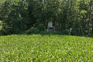 N4016 State Hwy 54 -, Irving, WI 54615 - Photo 59