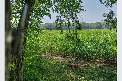 N4016  State Highway 54 -, Irving, WI 54615 - Photo 53