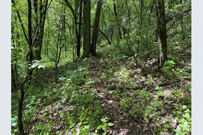 S7750  Carter Valley Ln, Kickapoo, WI 54652 - Photo 35