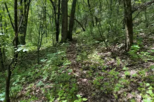 S7750 Carter Valley Ln, Kickapoo, WI 54652 - Photo 35