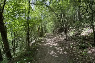 S7750 Carter Valley Ln, Kickapoo, WI 54652 - Photo 33